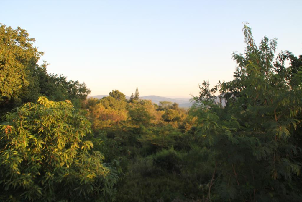 Bubezi Guest House Hazyview Dış mekan fotoğraf